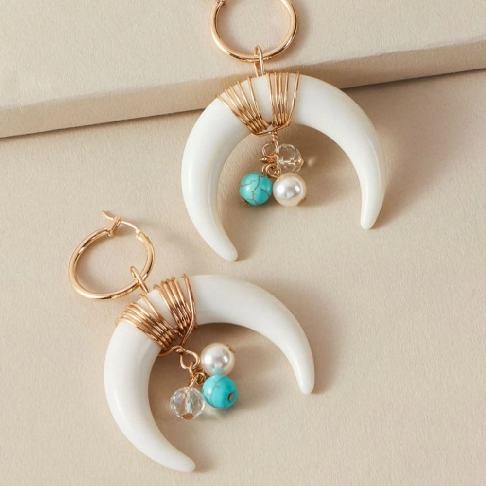 3/$25 Horn and turquoise earrings
